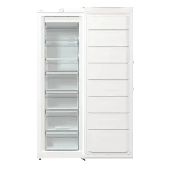 Gorenje FN619FEW5