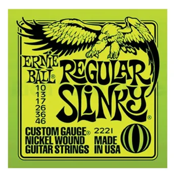 Ernie Ball 2221