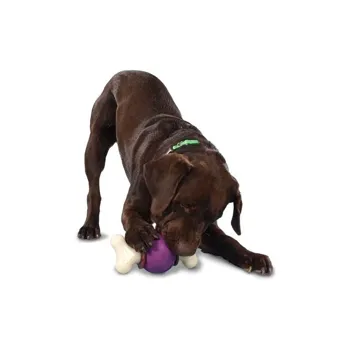 Petsafe Busy Buddy Bouncy Bone M