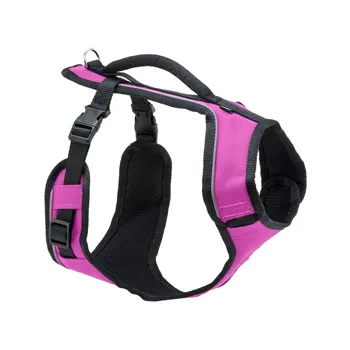 PetSafe Postroj EasySport